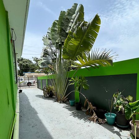 Vieques Good Vibe Guest House Exteriér fotografie