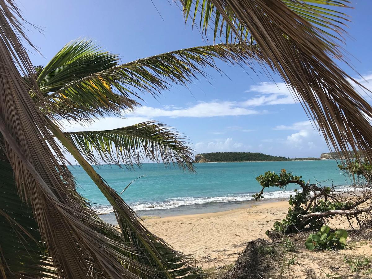 Vieques Good Vibe Guest House Exteriér fotografie