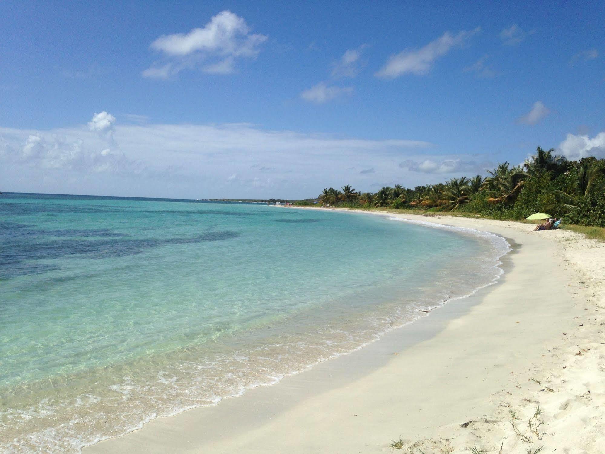 Vieques Good Vibe Guest House Exteriér fotografie